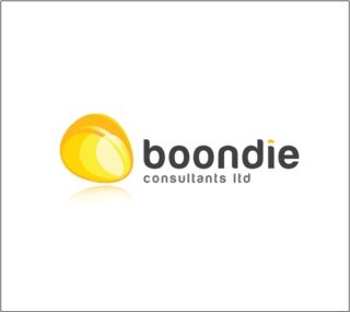 Boondie Consultants Logo Design