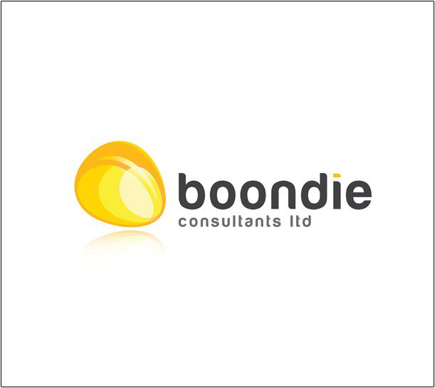 Boondie Consultants Logo Design